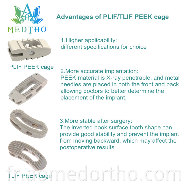 spinal implant